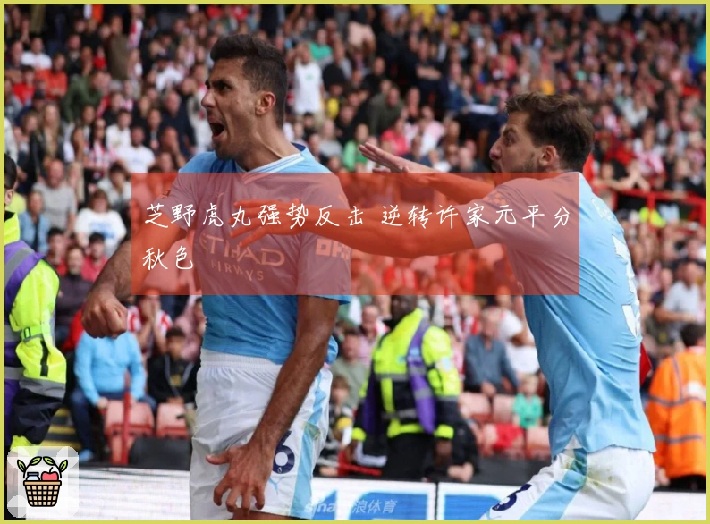 芝野虎丸强势反击 逆转许家元平分秋色