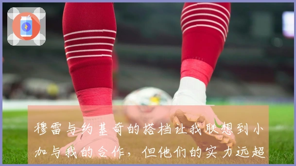 穆雷与约基奇的搭档让我联想到小加与我的合作，但他们的实力远超我们